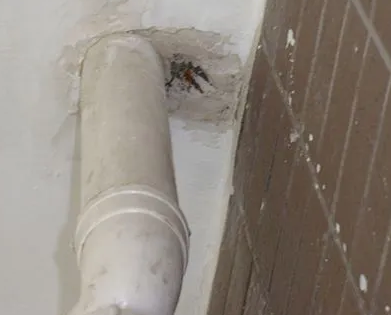 临西漏水检测哪家好